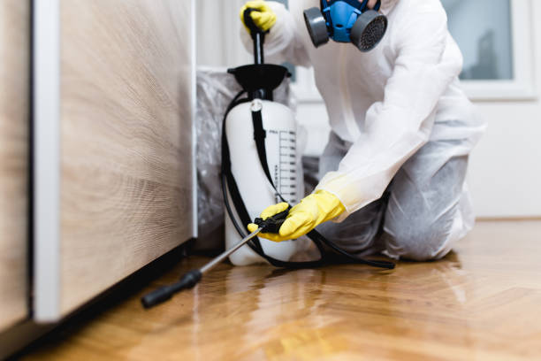 Pest Control Cost in Indian Hills, CO