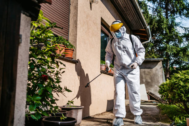 Best Mosquito Control Services  in Indian Hills, CO